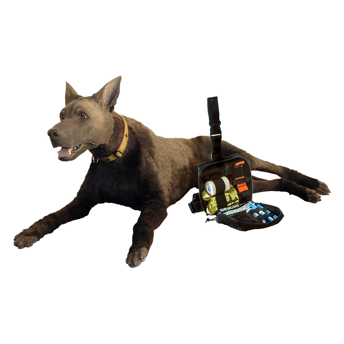 DRT K9 TiNYセット Rental-Program_K9-TCCC-